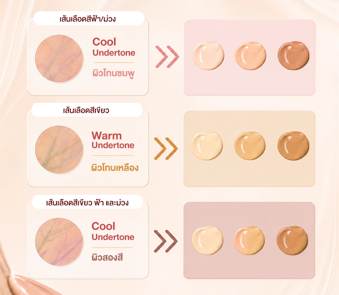 แผนผังแสดงสีผิวและเส้นเลือดสำหรับ Cool Undertone และ Warm Undertone ในการเลือกสีรองพื้น